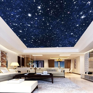 Luces <span class=keywords><strong>LED</strong></span> de fibra óptica para decoración de techo de cielo estrellado, adecuadas para iluminación de cable de decoración de pared interior - Product Image 6