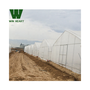 Serre Poly Tunnel à vendre pour les tomates et les cultures de bleuets Serre agricole parfaite - Product Image 3