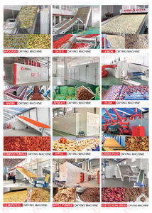 مجفف سير شبكي مخصص لفاكهة الأفوكادو بسعة 30 طنًا، معدات تجفيف بالهواء الساخن للتين والبابايا والعناب والأفوكادو - Product Image 4