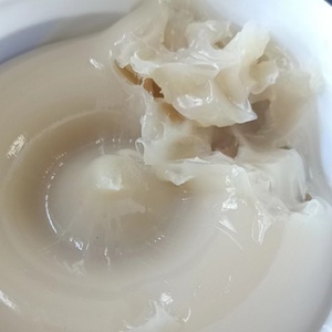 Lubrifiant polyuréthane industriel et automobile haute température 280+ MP2 blanc bleu en cartouche tube 400g 450g et seau 15kg 20kg - Product Image 3
