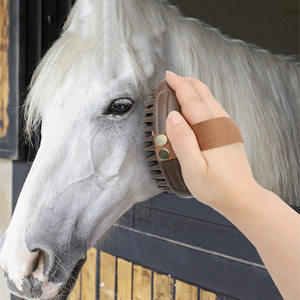 Strumento di pulizia equestre per cavalli strumenti per la pulizia del <span class=keywords><strong>cavallo</strong></span> con speroni spazzola per la pulizia del <span class=keywords><strong>cavallo</strong></span> - Product Image 1