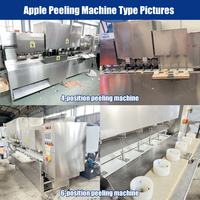 Elektrische Appelschilmachine Multifunctionele Citroenschillen Snijsnijsnijmachine Fruitschilmachine Voor Perenkiwi