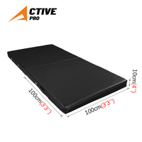 Tapis de gymnastique pliable en PVC imperméable, épaisseur 10 cm, pour projets scolaires et gymnastiques