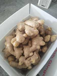 Jahe kering segar, aroma jahe segar harga grosir 100g + - Product Image 6