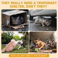 Maison pour chat en bois, abri imperméable pour intérieur et extérieur, entrée en forme de tête de chat, respirant, facile à assembler