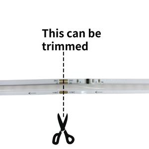 Mật độ cao 480 mỗi mét <span class=keywords><strong>RGB</strong></span> linh hoạt COB LED Strip ánh sáng với cri90 USB ip33 ứng dụng điều khiển & Dimmable các tính năng - Product Image 2