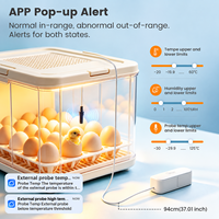 Capteur de température et d'humidité intelligent WiFi Tuya avec sonde externe, surveillance à distance sans fil via application, réfrigérateur, aquarium, incubateur