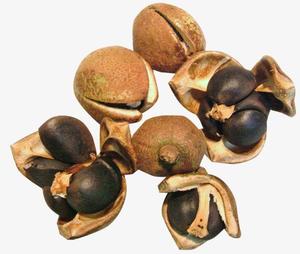 Pelador de nueces de cacahuete, máquina de descascarado de cáscara de almendra y cacahuete, máquina separadora de semillas de Camelia - Product Image 6