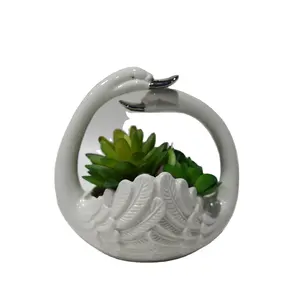 可爱的小多肉植物花盆白色迷你花盆陶瓷天鹅动物形状壶桌面装饰
