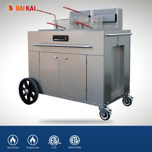 เครื่องทอดเฟรนช์ฟรายส์แบบใช้แก๊ส LPG/LNG สำหรับใช้งานกลางแจ้งในสวนสาธารณะ - Product Image 2