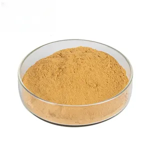 Bulk Supply Dong Quai Angelica Root Extract Powder