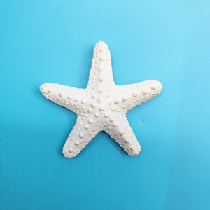 Artesanía en Resina, <span class=keywords><strong>Coral</strong></span> Blanco, Estrella de <span class=keywords><strong>Mar</strong></span> Hecha a Mano y Pintada a Mano, Figura en Forma de Estrella de 16x16x4cm para Decoración <span class=keywords><strong>del</strong></span> Hogar - Product Image 2