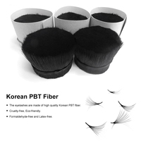 Extensions de cils pré-faites en volume 10D 0.07mm Noir Courbure C D 9-14mm Cils synthétiques en éventail pour greffe en salon