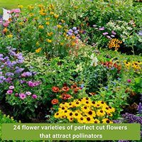 24 paket besar koleksi Zinnia tempat kebun bunga besar untuk kebun rumah yang indah