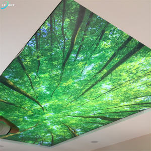 Film de plafond tendu 3D en PVC effet imprimé, design chinois, prix fabricant - Product Image 3