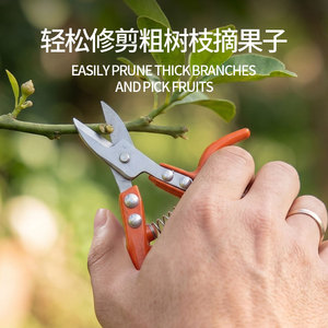 Nice <b>Pruning</b> Shears Stainless Steel 24cm Straight Head Garden <b>Tree</b> Trimming <b>Tool</b> - Product Image 4