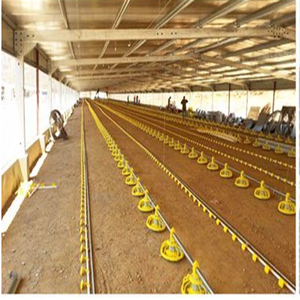 Conception de ferme de volaille de poulet de structure en acier préfabriquée moderne 1000 couches de maisons de poulets d'oeufs hangar de poulailler <span class=keywords><strong>à</strong></span> <span class=keywords><strong>vendre</strong></span> - Product Image 5
