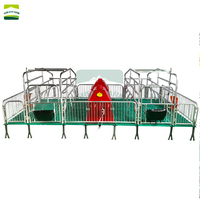 Lit de gestation galvanisé pour truies, boxes de mise bas pour porcs, sols de parcs porcins, équipement d'élevage pour truies à vendre
