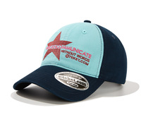 Casquette de baseball sportive personnalisée brodée motif léopard unisexe 100 % coton style coréen pour événements estivaux, vente en gros par petites quantités