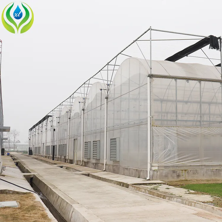 MYXL plastic large hydroponic chinese prefab greenhouses frame structure for outdoor