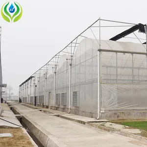 MYXL kunststoff große hydroponische chinesische vorgefertigte gewächshäuser rahmenstruktur für outdoor
