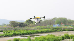 Dron Agrícola Multifuncional 2 en 1 para Siembra y Pulverización, UAV de Alta Productividad, Equipo Agrícola Profesional - Product Image 4