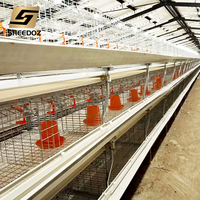 Cage de pontage pour poules pondeuses, équipement d'élevage avicole, cages en batterie pour poulets de chair, cages de pontage pour poulets de ferme