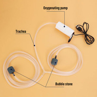 Pompe à Air USB pour Aquarium pompe à Air pour Aquarium compresseur d'air silencieux aérateur petite pompe à oxygène silencieuse