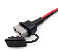 Nouveau faisceau de câblage haute intensité pour énergies renouvelables 50A/120A/175A pour connecteurs, bornes en cuivre pur plaqué argent, câble de connexion de batterie