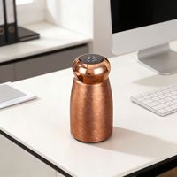 Botol Termos Pintar 230ml dengan Layar LED Penunjuk Suhu, Lapisan Titanium, Dinding Ganda Stainless Steel, Motif Retak Es