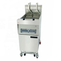 Friteuse Commerciale Électrique/Gaz SURRI pour Frites et Poulet Frit, Panier à Levage Automatique, Acier Inoxydable, Capacité 28L