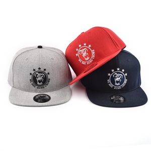 Gorras Snapback de Alta Calidad de 6 Paneles con Bordado 3D, Visera Plana, Gorras Ajustadas de Baloncesto, Gorras Personalizadas de Hip Hop - Product Image 4