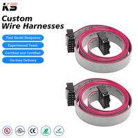 Kabel IDC Kustom 2.54 MM Kabel Pita Datar IDC 10PIN Tembaga Murni Kabel Harness Kustom