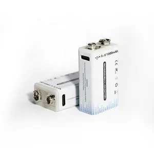 Werksverkauf Typ C 9V Lithium-Ionen-Akku USB 650mAh Akku mit Ladekabel