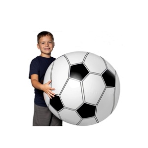 Ballon de football gonflable en PVC de 27 pouces pour enfants et adultes, idéal pour les fêtes d'été à la piscine, la plage, les anniversaires et les barbecues - Product Image 1