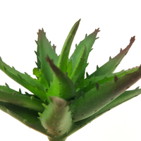 Vente en gros de plantes artificielles en pot, petites plantes d'aloe vera inversées, décoration d'intérieur, plantes succulentes simulées
