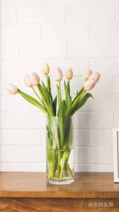 Vases à fleurs en acrylique transparent sur table, cylindre de boîte d'alimentation pour fleurs, porte-stylo avec impression Logo - Product Image 2