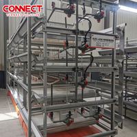 Système de cages à poulets de chair de type H pour 50 000 poussins, équipement d'élevage avicole automatique à batterie, pour poulets de chair et poussins