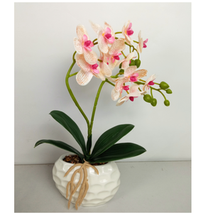 Set Bunga Anggrek Mini Bonsai Niceway Putih 5 Tangkai Sentuhan Asli Gaya Pedesaan Porselen Berlapis Dekorasi Rumah dan Taman - Product Image 2