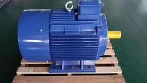 मानक श्रृंखला 110-355kw इलेक्ट्रिक मोटर्स - Product Image 2