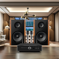 Amplificateur intégré de classe D Hi-Fi, récepteur audio numérique stéréo actif avec caisson de basses, communication USB, enceintes de karaoké à domicile