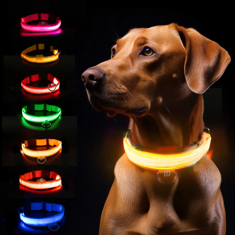 ปลอกคอสุนัขไฟ LED สะท้อนแสงสำหรับสุนัขปลอกคอสุนัขแบบชาร์จไฟได้สำหรับสุนัขในเวลากลางคืนป้องกันการสูญหาย