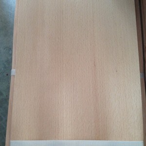 Tự nhiên màu đỏ <span class=keywords><strong>Beech</strong></span> bằng gỗ Veneer chất lượng tốt - Product Image 4