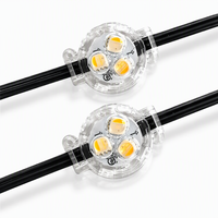 Lumières LED ponctuelles modernes DC12V 30mm RGB à pixels adressables, étanches IP68 pour extérieur, UCS2904, pour avant-toits, toits et façades