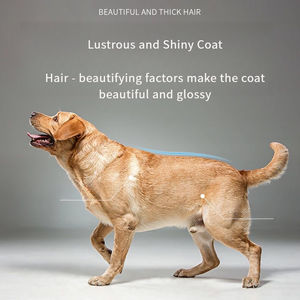 מותאם אישית מזון יבש מזון כלבים יבש עבור המותג שלך - Product Image 4