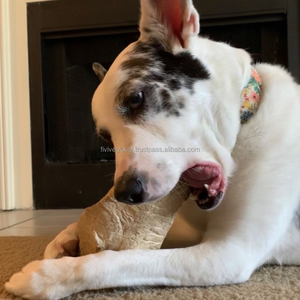 Natural Durable <b>Gorilla</b> Wood Chew for Dogs, Clean Teeth And Gums, Discourages Destructive Chewing, Fun Dog <b>Toy</b> Strong - Product Image 1