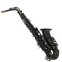 High Quality Eastern Music AS210F Alto Saxophone Brass Woodwind Instrument EB Tone Performance Application Premium Saxophone