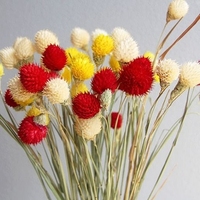 Fleur naturelle séchée, 1 ensemble de 15 pièces, arrangement de vase, pour remplissage de fruits, boule de fruits secs, similaire à des fraises, vente en gros