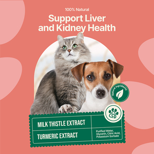 Cardo di latte per cani e gatti | Sostiene la salute del fegato e dei reni | Integratore liquido di cardo mariano - Product Image 4
