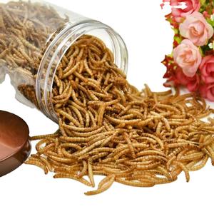 <span class=keywords><strong>Vers</strong></span> <span class=keywords><strong>de</strong></span> <span class=keywords><strong>farine</strong></span> <span class=keywords><strong>séchés</strong></span> <span class=keywords><strong>de</strong></span> qualité pour les oiseaux et les animaux domestiques - Product Image 2